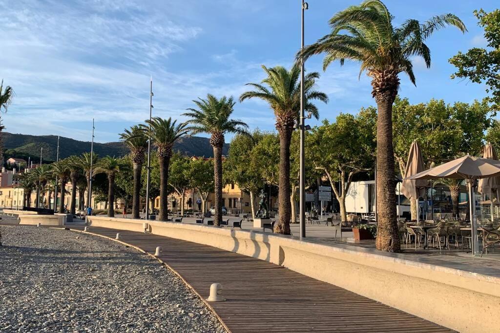 Attique A Banyuls - Vue Mer Et Montagne Exterior foto